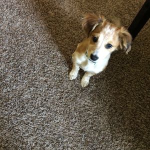 Meet your Posher, Angela